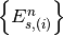 \left\{ E_{s,(i)}^n \right\}